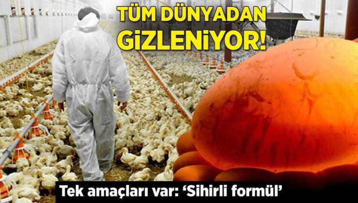 ABD’nin herkesten gizlediği tavuk çiftlikleri! Tek hedefleri var: ‘Sihirli formül’