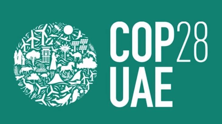 COP 28: Muvaffakiyet mı, hayal kırıklığı mı?
