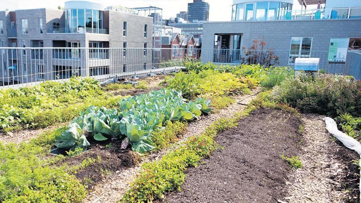 İsraf var, besleyici değil, sıhhati tehdit ediyor! Besinde çok taraflı tehdit