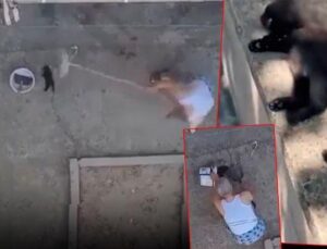 İnfial yaratan imgeyi bu türlü savundu! 3 yavru kediyi mutfağına girdiği için öldürmüş