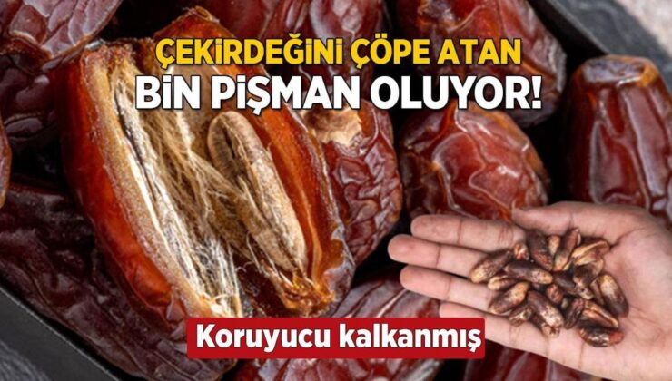 Karaciğer ve böbreğin kalkanı! Çekirdeğini blender’a atın, her zerresi şifaymış