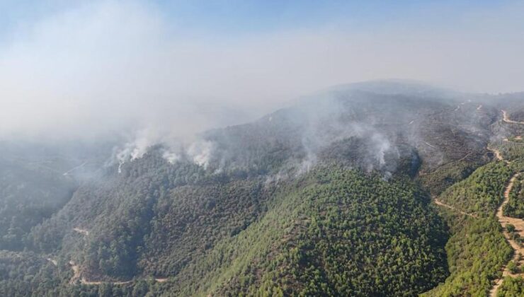 Manisa’daki orman yangınında 5’inci gün! Alevler Salihli ilçesine ulaştı