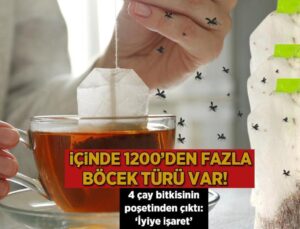 İçinde 1200’den fazla böcek çeşidi var! 4 çay bitkisinin poşetinden çıktı: ‘İyiye işaret’