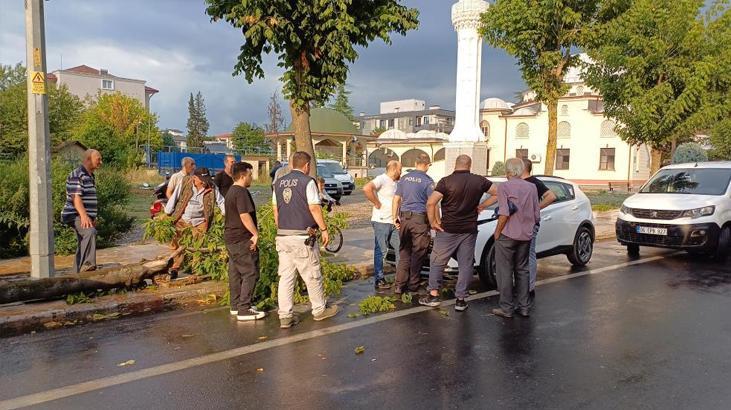 Yeni aldığı aracın üzerine ağaç devrildi! “Daha borcunu bile ödemedim”