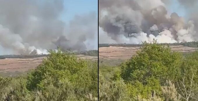 Beykoz’daki orman yangınında korkutan gelişme! Alevler tekrar yükseldi… Valilikten açıklama