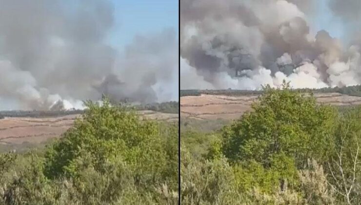 Beykoz’daki orman yangınında korkutan gelişme! Alevler tekrar yükseldi… Valilikten açıklama