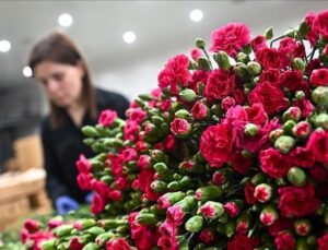 Türkiye’den 35 ülkeye Anneler Günü için 80 milyon kısım çiçek